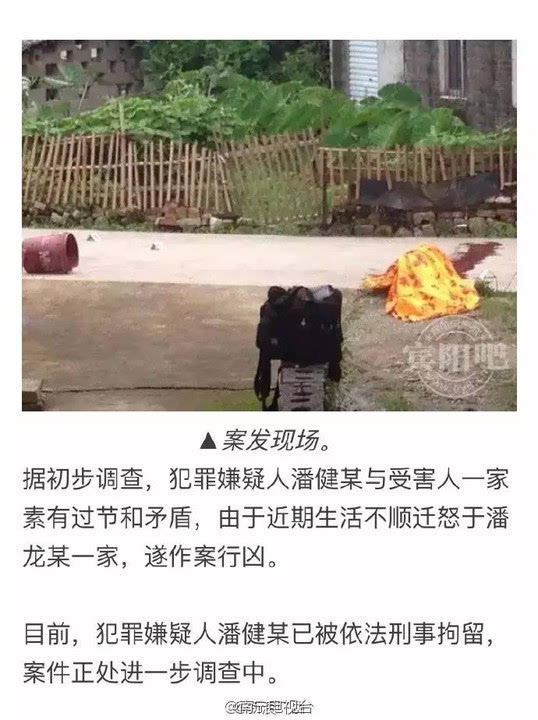 广西宾阳有多少人口_广西宾阳炮龙节图片