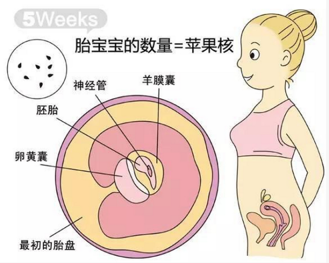 这时,它们有三层,称三                    ,请关注微·信·公·众   