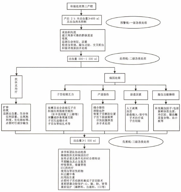 因为胎盘因素引起的出血应人工剥离胎盘,清宫,胎盘植入者可采用保守性