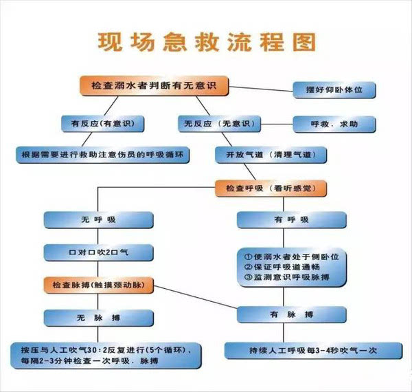 对溺水患者心肺复苏的标准流程