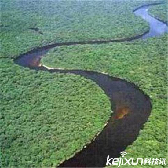 世界上最大巨型蟒蛇 现身亚马逊河震惊世界!