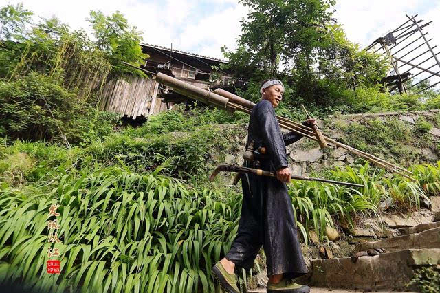 出门,下田,牧牛,砍柴,岜沙男人都依然枪不离身,他们在漫山遍野中骄傲