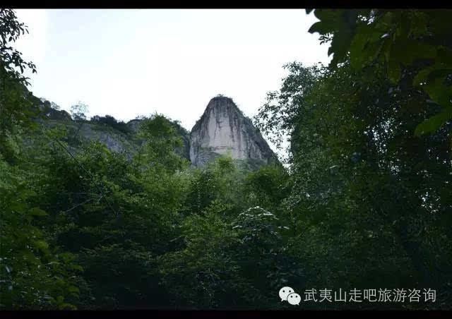 武夷山下兰汤三姑石游记