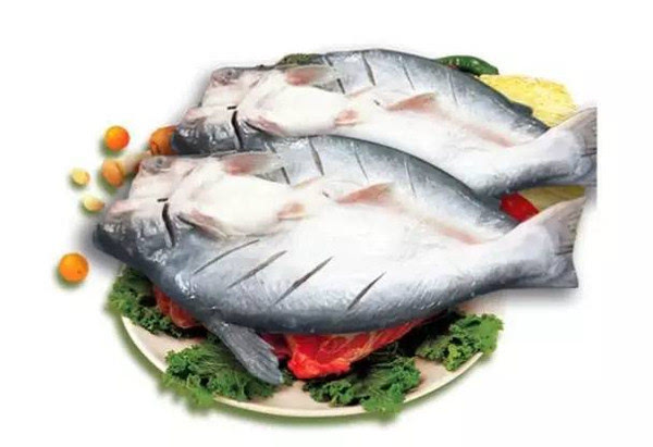 独家|巴沙鱼将占领全球白肉鱼市场?年出口110万吨或逆袭罗非鱼