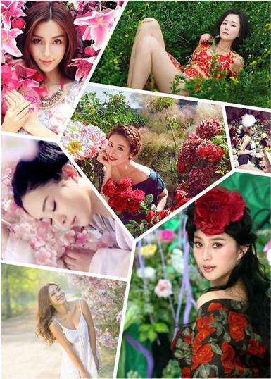 林心如,刘亦菲众女星花海写真,谁比鲜花更娇艳