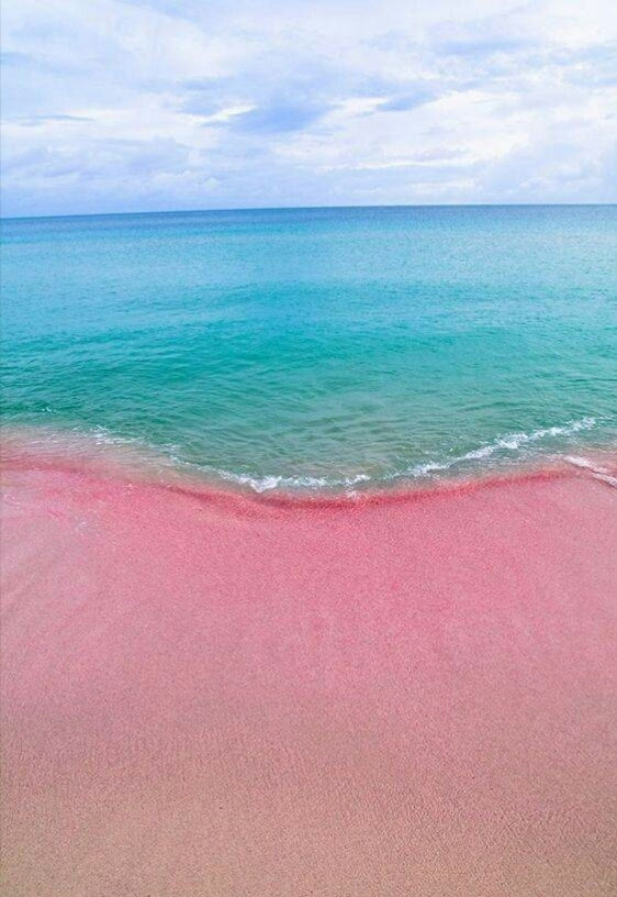世界上唯一的一处粉色沙滩,分分钟让你少女心爆棚