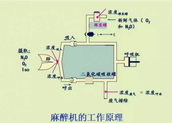 术前麻醉机检查,这些你都做到了吗?(附视频教程)