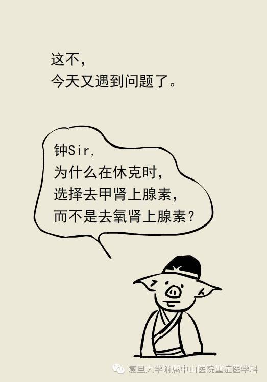 诸杜明主任:为什么在休克时,选择去甲肾上腺素,而不是去氧肾上腺素?