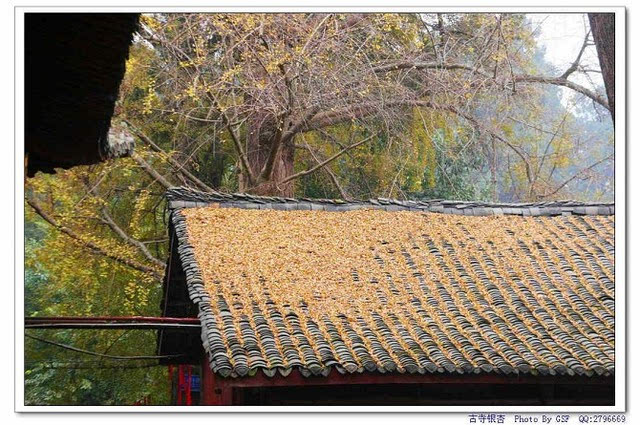 龙泉石经寺 诵经唱忏石经寺系川西五大佛教林之一,藏黄教法王宗喀巴大