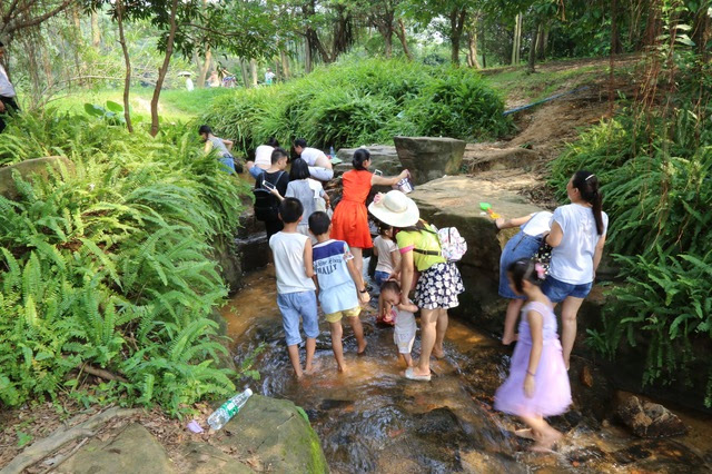 【夏·好食光】带你去大夫山,让你过纯朴的童年