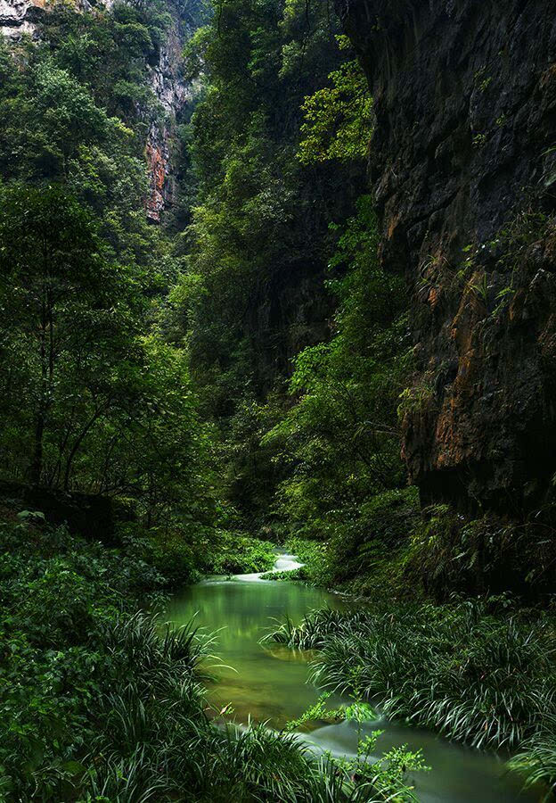 一线瀑入水似利箭,直穿深潭 流水终年不断,饮入清凉爽口