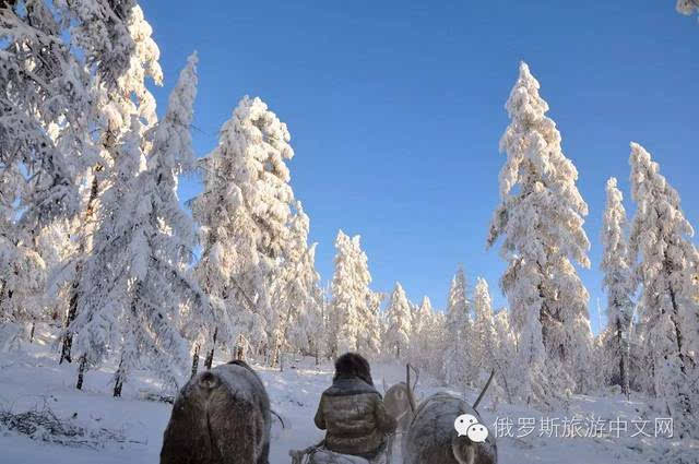 不过,不了解不知道,雅库特其实是个神奇的地方.