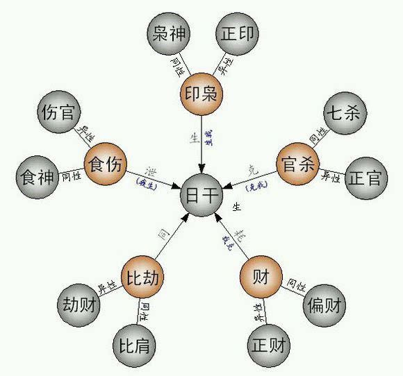 兄弟姐妹是由十神中比肩,劫财,禄,羊刃,正印与偏印来作标志的(实际上