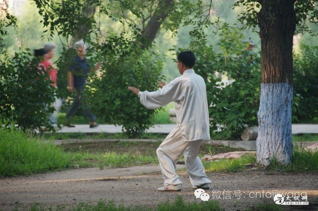 掌握无极桩"收胯"的方法后,再练习虚实桩:两脚左右平开步,分清虚实,两