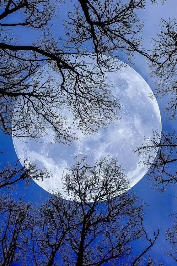 世界上最美的月亮,美到窒息!