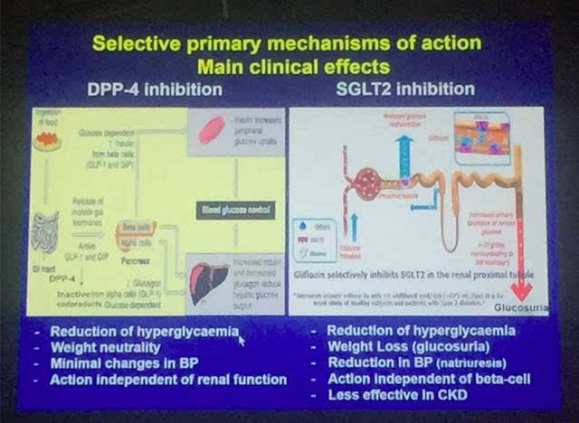 dpp-4抑制剂的作用机制是刺激人体胰岛素分泌,降低胰高血糖素分泌,且