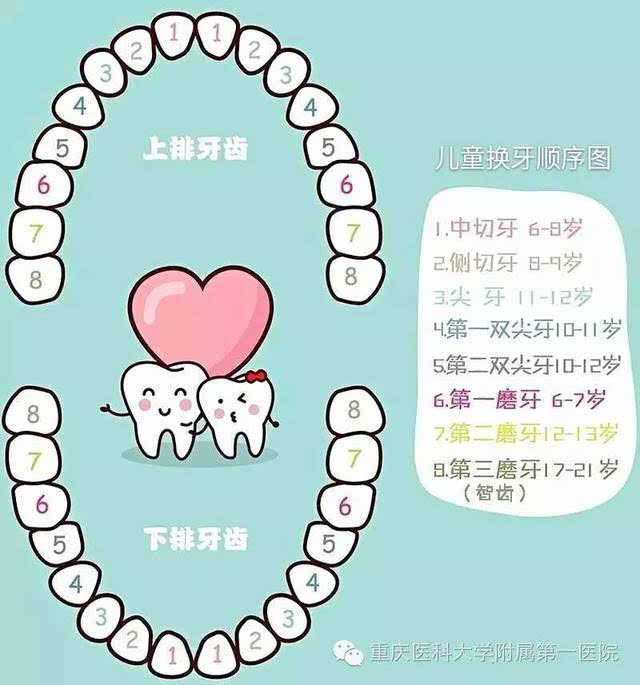 所以现在很多父母在孩子很小的时候就纷纷担忧自己孩子的牙齿长不好