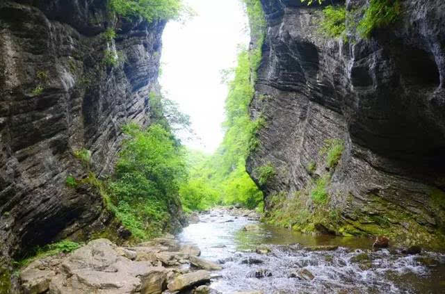 【迎重庆香山旅游峰会】看名嘴游奉节(三)——龙桥河