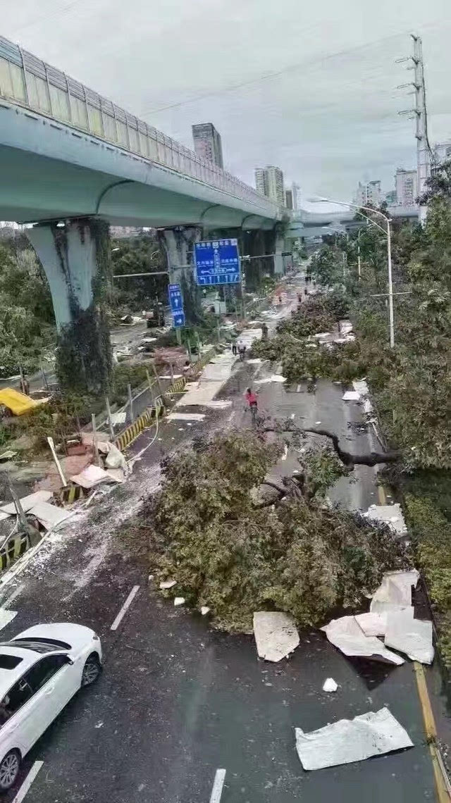 台风莫兰蒂让我们的家园面目全非 也让我们的财产受到了严重的损失