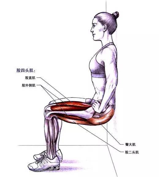 这个训练可以强化股二头肌,臀大肌,股四头肌,这些肌肉也正是跑步中的