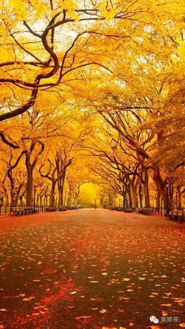 十首秋天诗词 美若画卷的秋色!