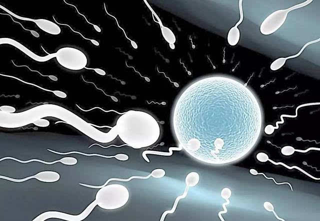 十万个唐医生:成熟的卵子一定可以受精吗?