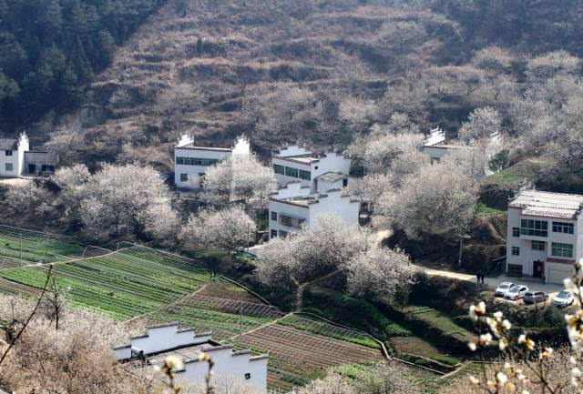 殷祖镇北山村,刘仁八镇腰村,刘仁八镇大董村,茗山乡学堂村郧县(22)