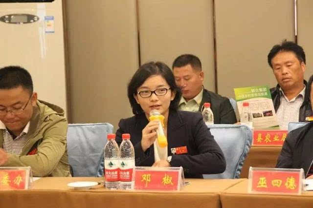 图:麻江县人民政府副县长王玲