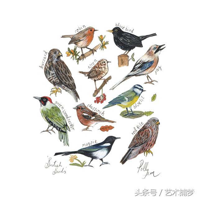 插画师在金丝雀的陪伴下,画出如此小清新的作品