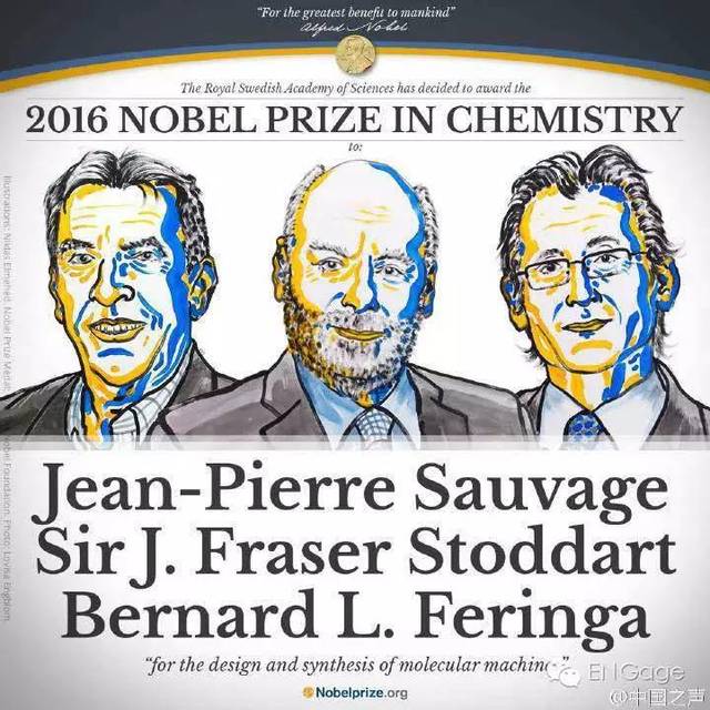 focus | nobel prizes 2016