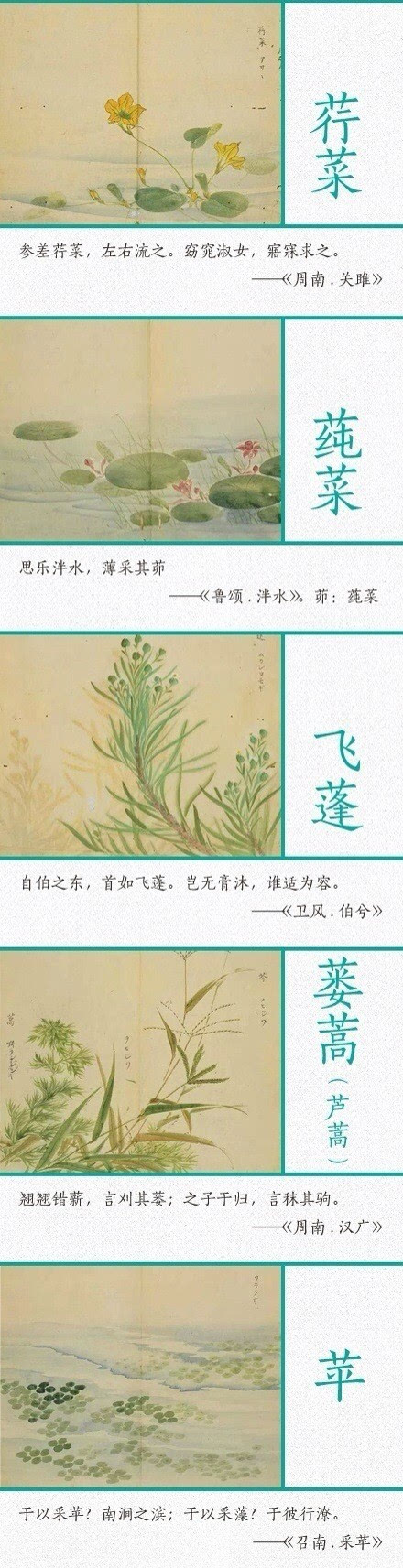 《诗经》里描写植物的优美诗句!