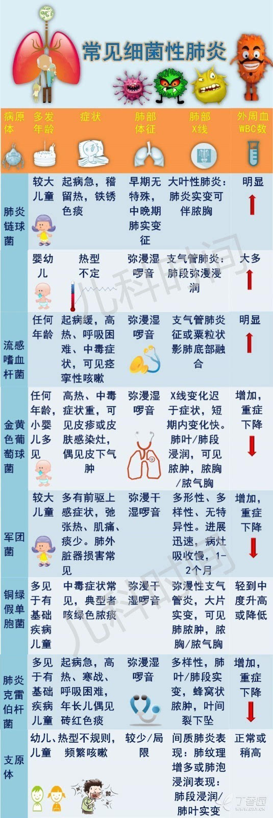 一文读懂小儿细菌性肺炎