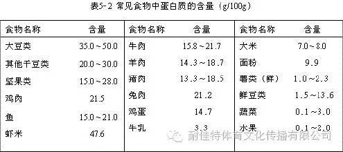 食物蛋白质含量表