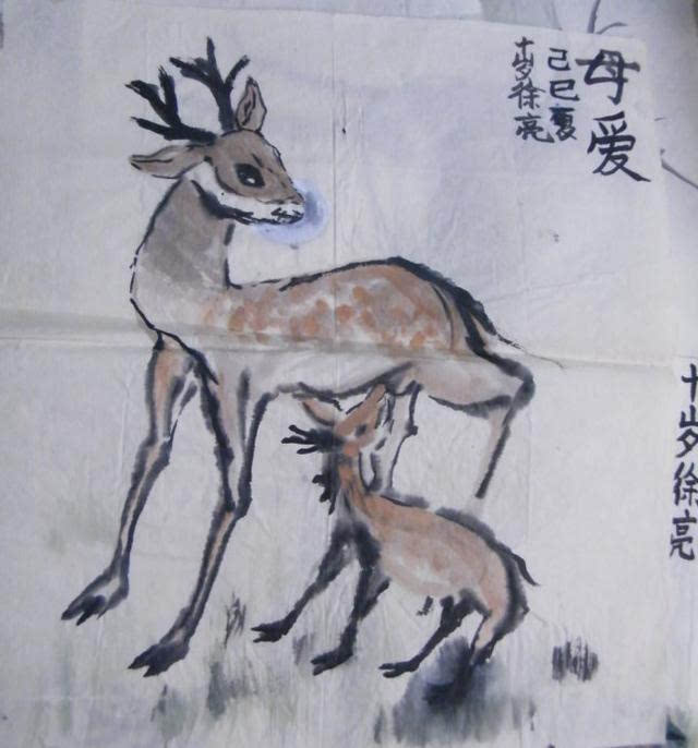 北大才子徐德亮国画:12岁之前,画猫画虾已见功夫