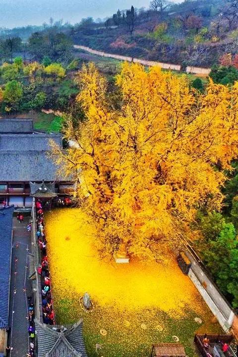 这就是西安市长安区终南山下的古观音禅寺.