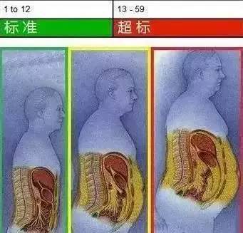 脂肪长在这里更要命!