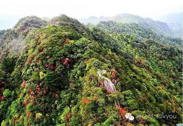 车八岭国家森林公园 周边景点:"广东九寨沟"深渡水乡,铜钟寨,满堂客家