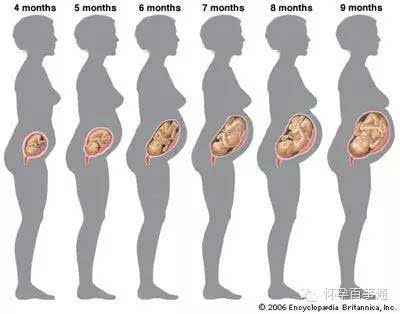 看孕妇肚子形状判断男女,靠谱吗?