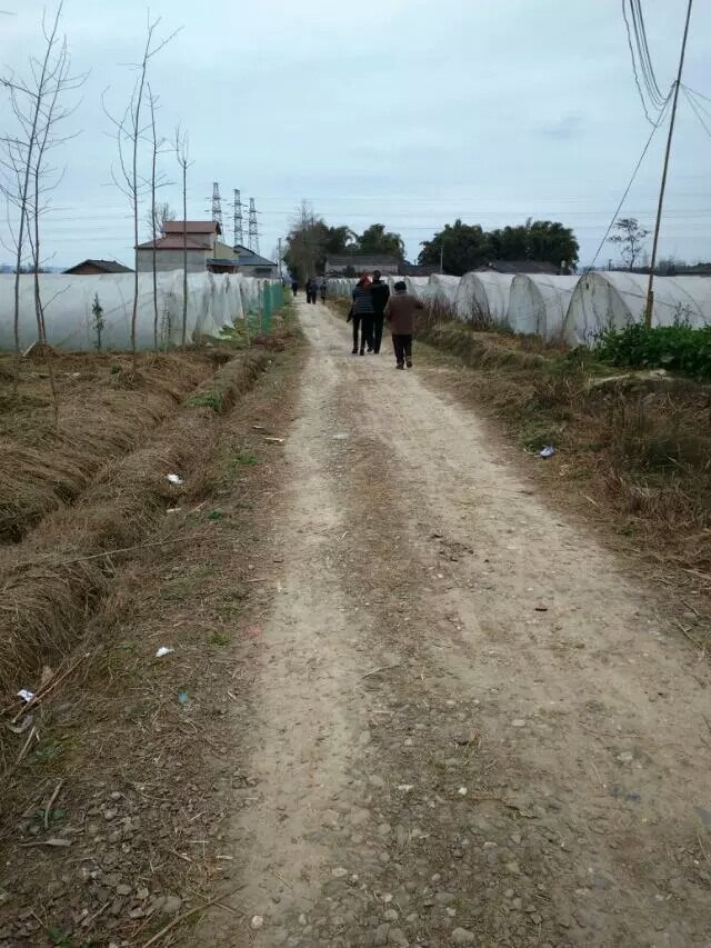 临汾做生意的朋友,翻出她老家农村照片,看看咋样