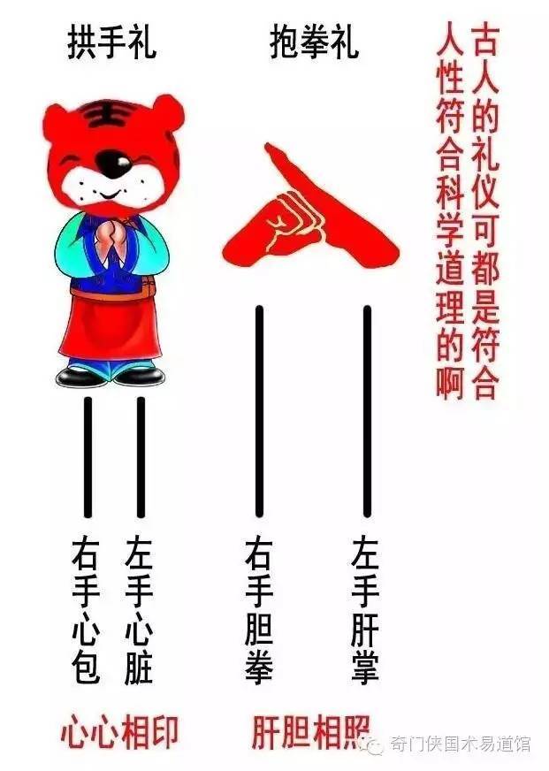 【尚武崇德】习武"抱拳礼"也有大学问!不懂怎算习武之