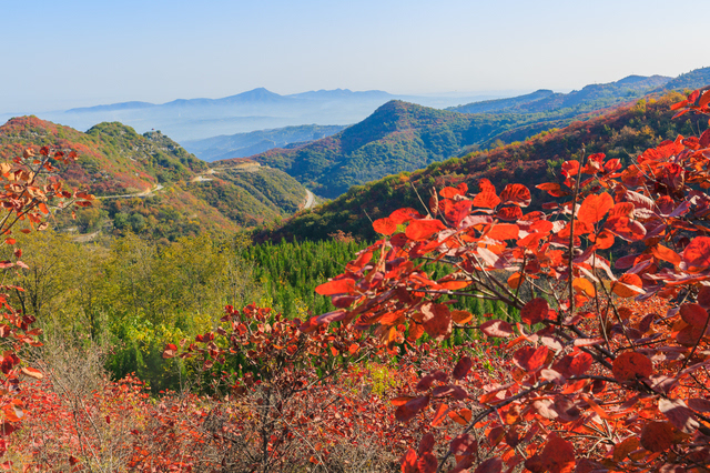 巩义长寿山,小景区,深秋色.