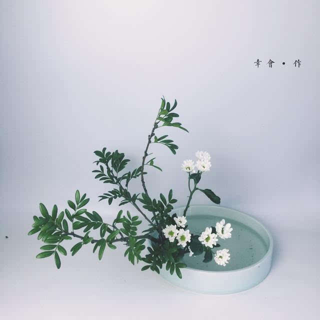 【小原流花道】盛花-倾斜型插法的课程分享