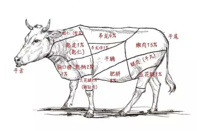 潮汕牛肉汤锅不知道怎么点菜 吊龙