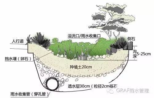 下沉式绿地具有狭义和广义之分,狭义的下沉式绿地指低于周边铺砌地面