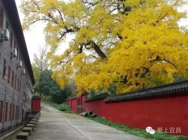 当阳市玉泉寺