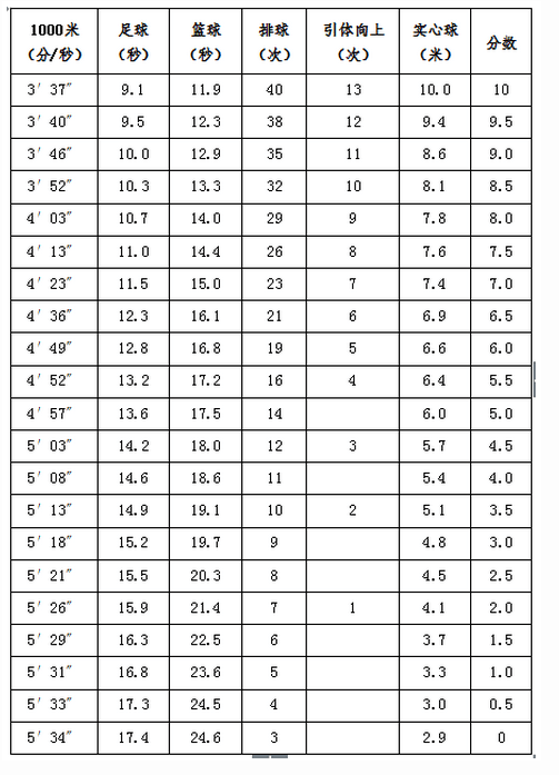 高考体育四项评分标准