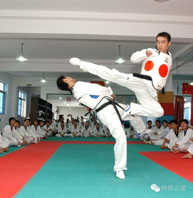 绿带 绿带是植物的颜色,代表练习者的跆拳道技术开始枝繁叶茂,跆拳道