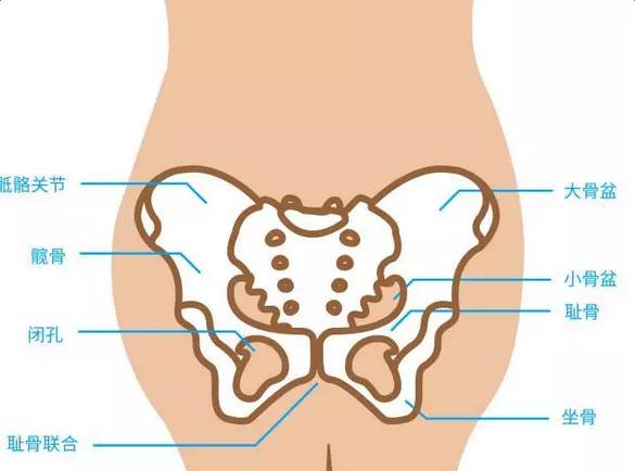 孕期有一种痛叫做"耻骨分离症",你经历过吗?