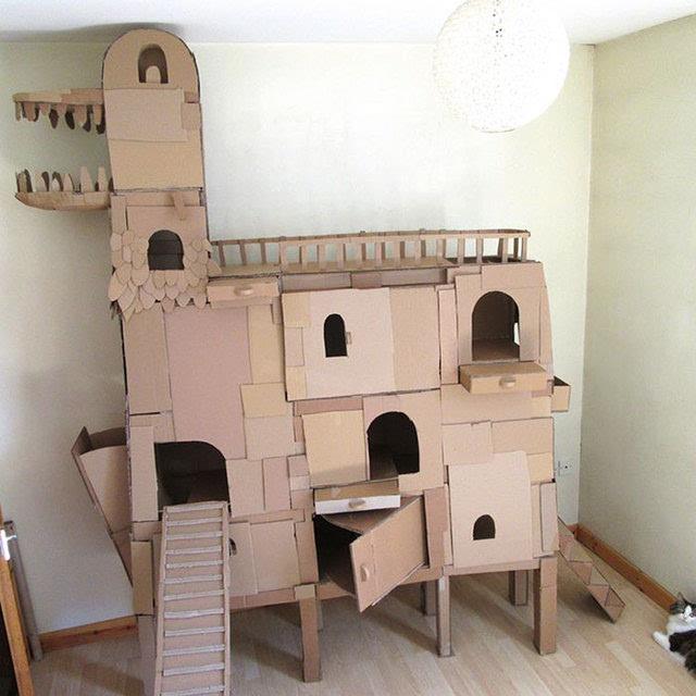 外国人用纸板给猫咪做城堡,将纸板玩出新高度