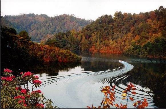 杜鹃湖是"国家级水利旅游风景区",这里的秀水洞泉,生态野味,为你清净